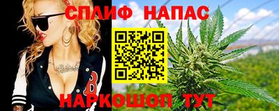 ешки Ставрополь