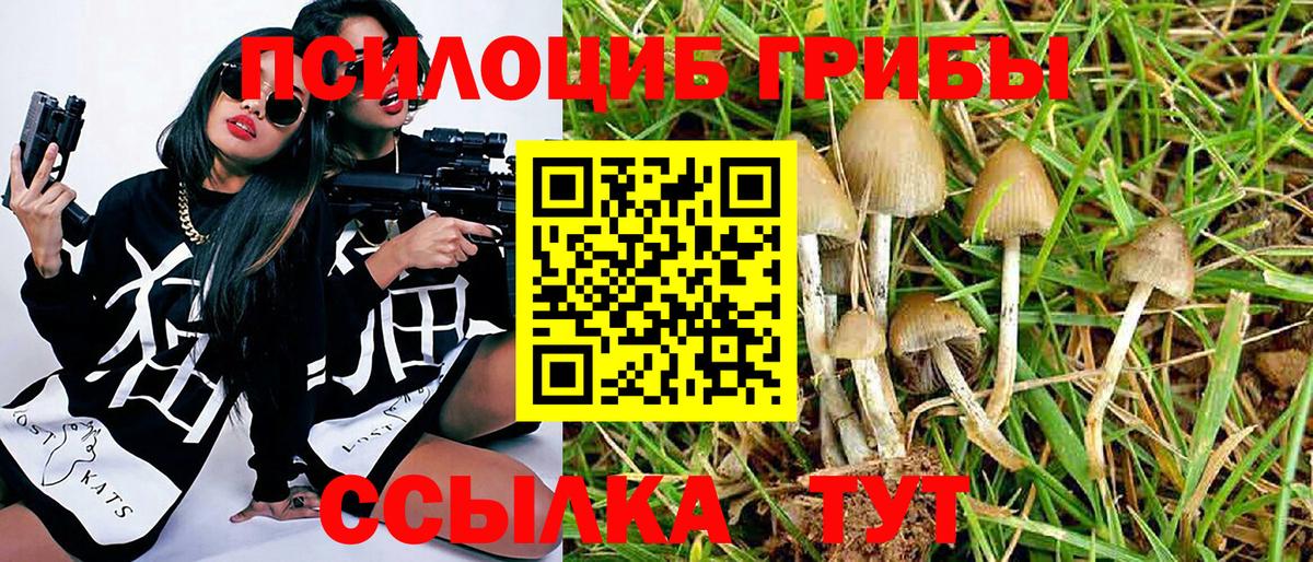 Галлюциногенные грибы Psilocybine cubensis  Вход с VPN  Лыткарино  Галлюциногенные грибы MAGIC MUSHROOMS 